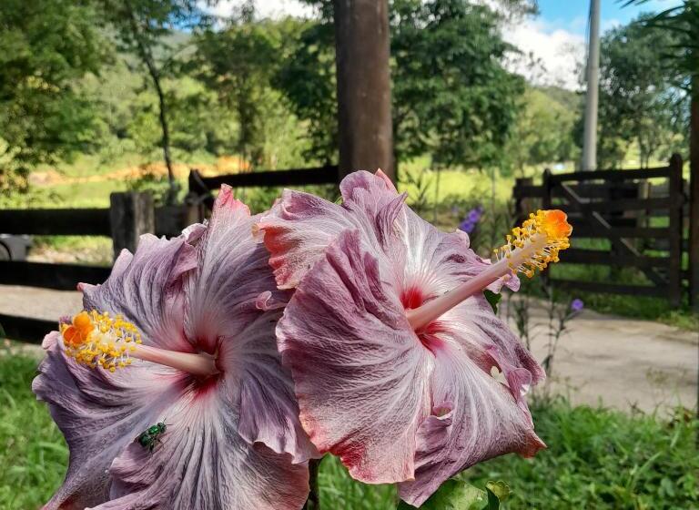 호스텔 Recanto Alto Da Serra