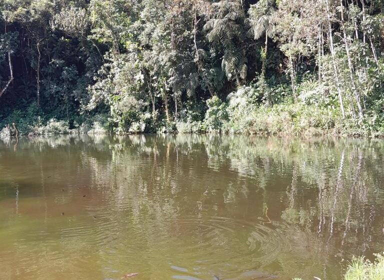 호스텔 Recanto Alto Da Serra