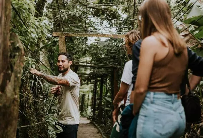 ホテル Santuario Ecologico Monteverde