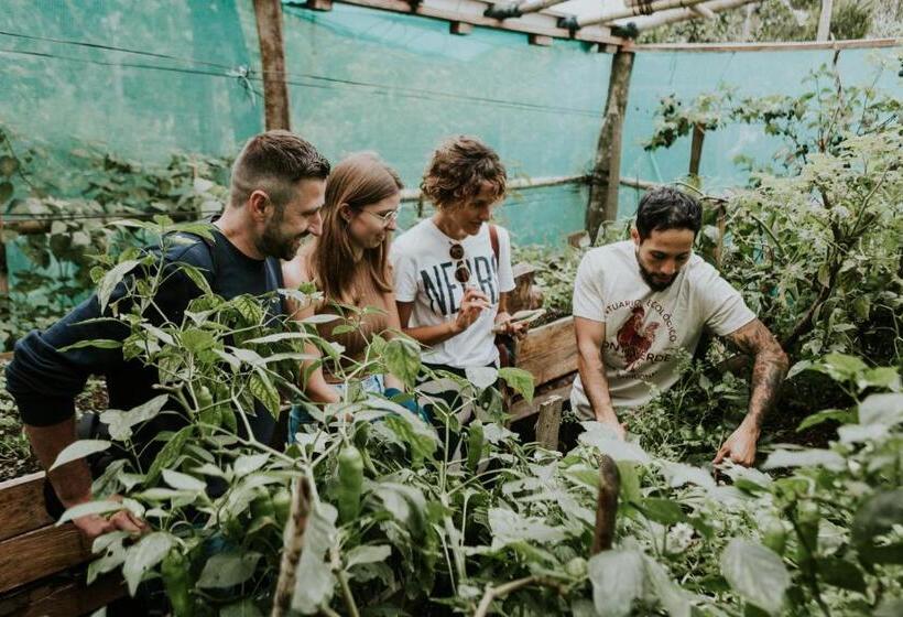 호텔 Santuario Ecologico Monteverde