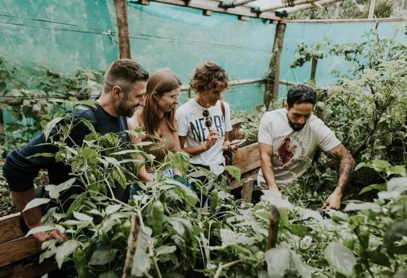 ホテル Santuario Ecologico Monteverde