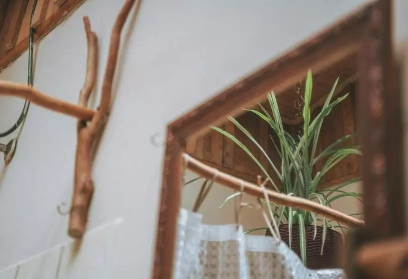 ホテル Santuario Ecologico Monteverde