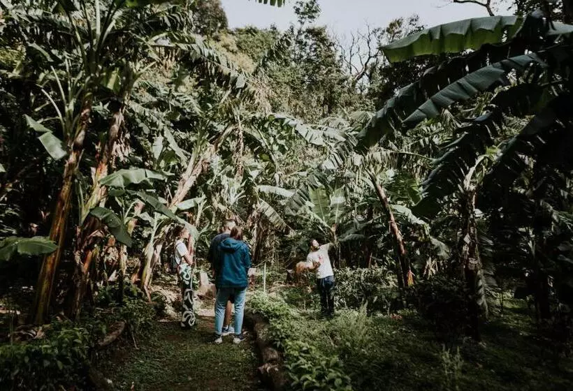 ホテル Santuario Ecologico Monteverde