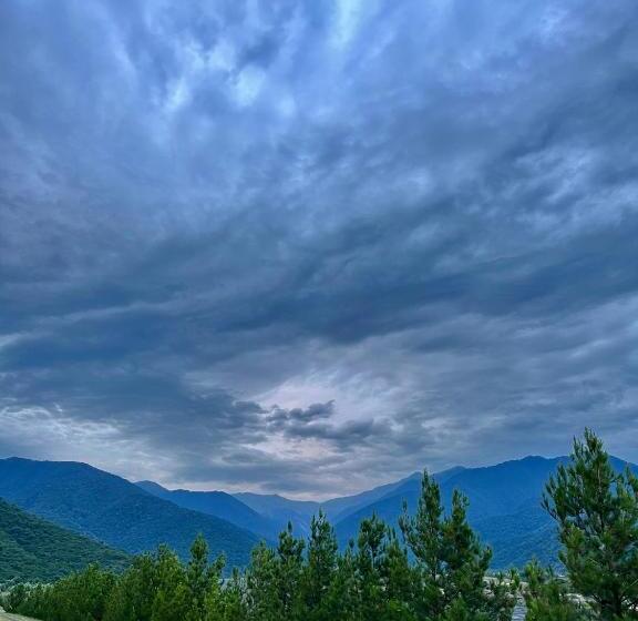 پانسیون Nino S Guest House