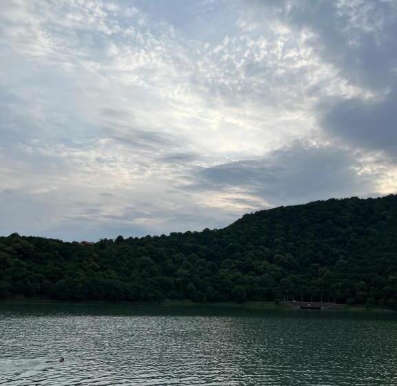 پانسیون Nino S Guest House