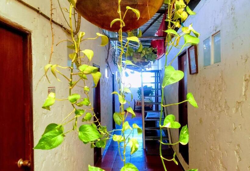 펜션 Rooftop Hostal Crisanto Luque