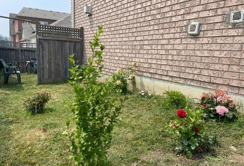 פנסיון Room Around York University Subway