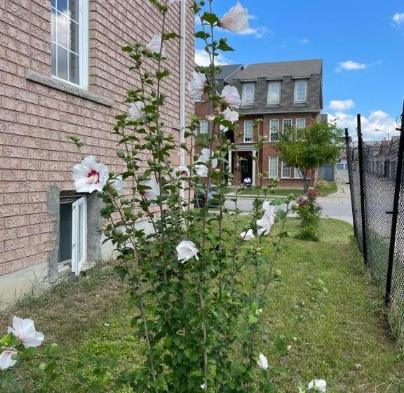 פנסיון Room Around York University Subway