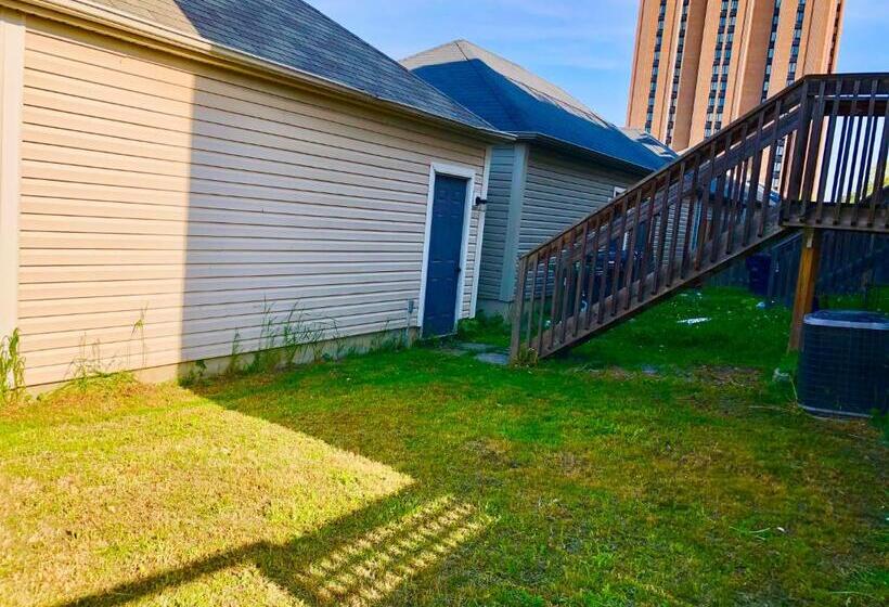 פנסיון Room Around York University Subway