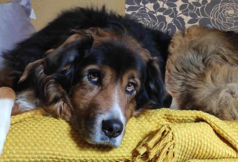 تختخواب و صبحانه Chez Sylvie Et Guy