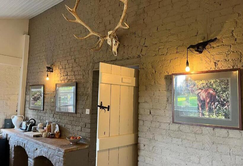 Bed and Breakfast Highfield Farm