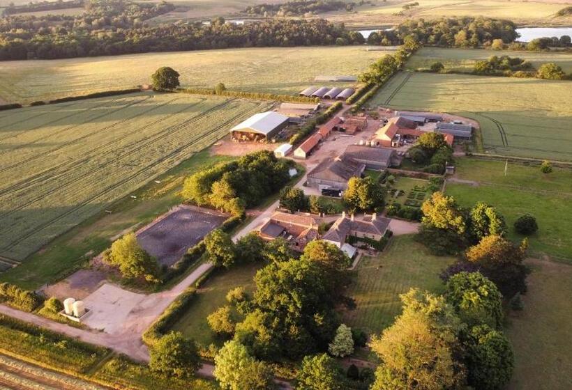 Bed and Breakfast Highfield Farm