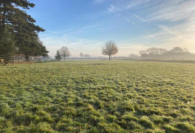 Bed and Breakfast Highfield Farm