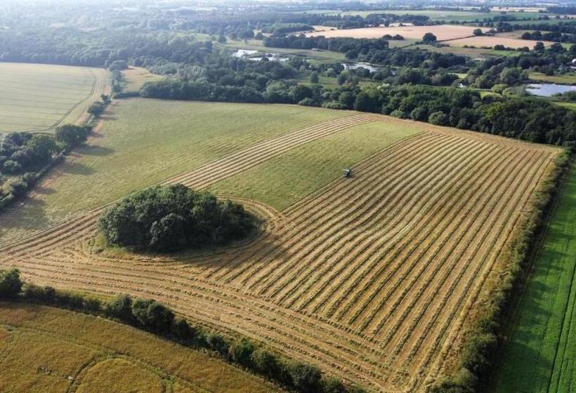 Bed and Breakfast Highfield Farm