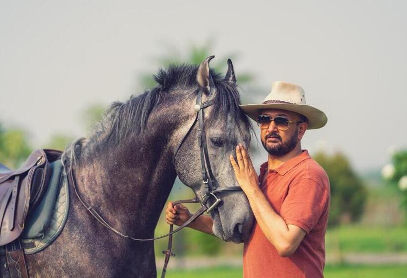 هتل Amritara Olive Trotter, Nangal