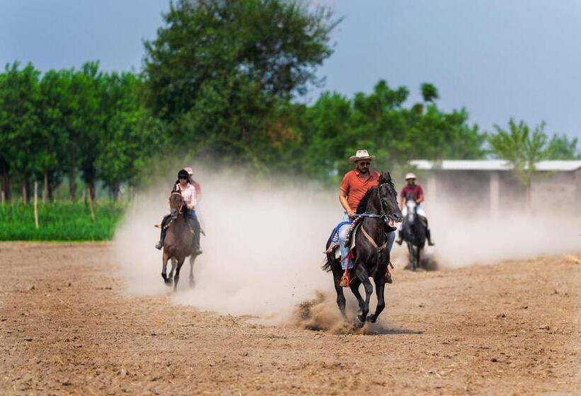 هتل Amritara Olive Trotter, Nangal