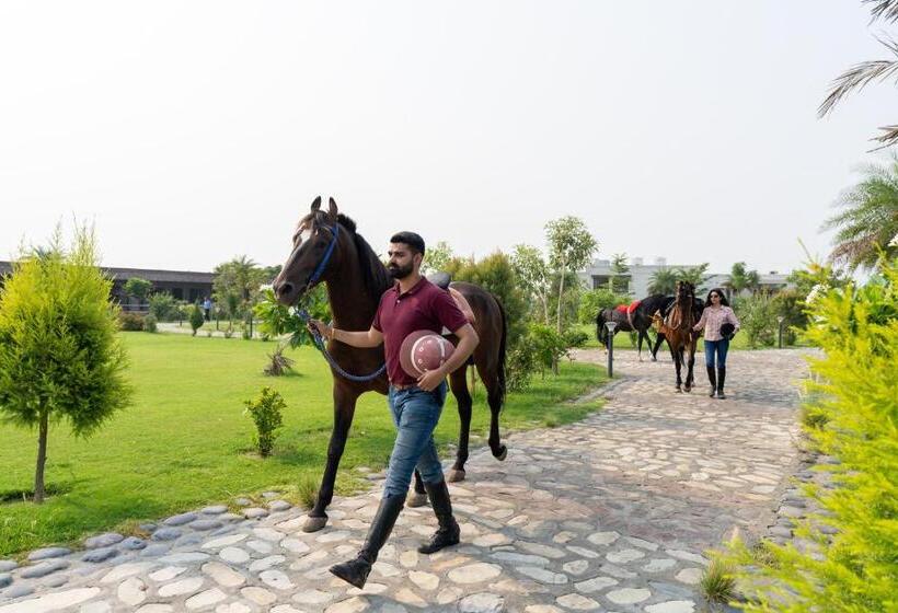 هتل Amritara Olive Trotter, Nangal