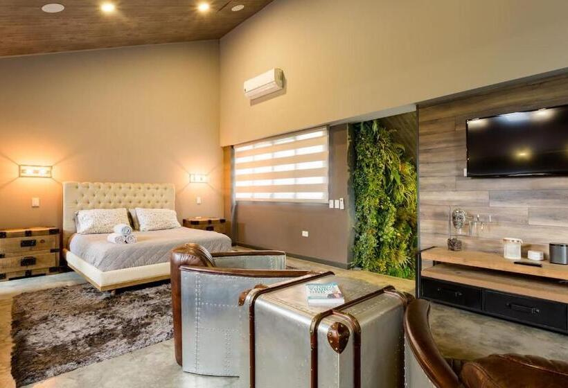 酒店 The Belmonte Penthouse