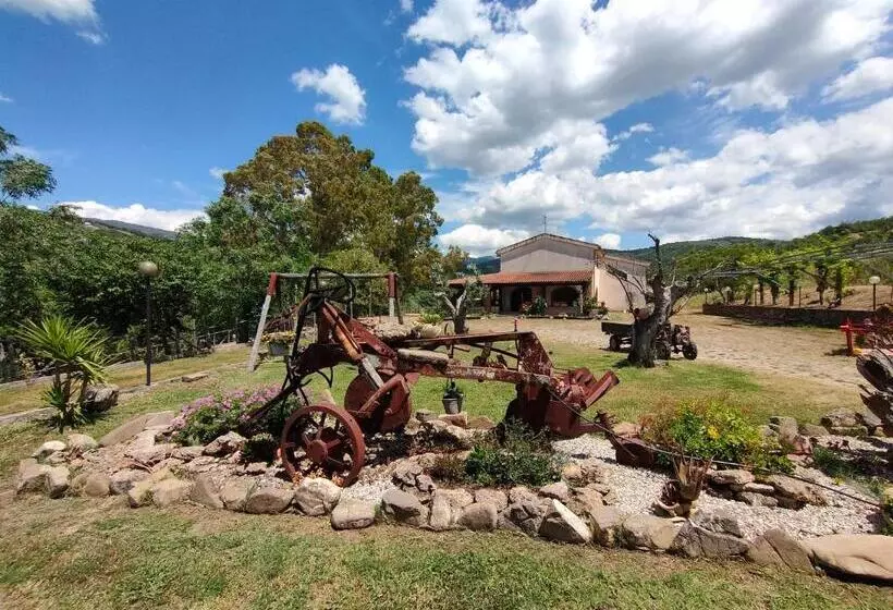 ベッドアンドブレックファースト Azienda Agrituristica Verdevalle