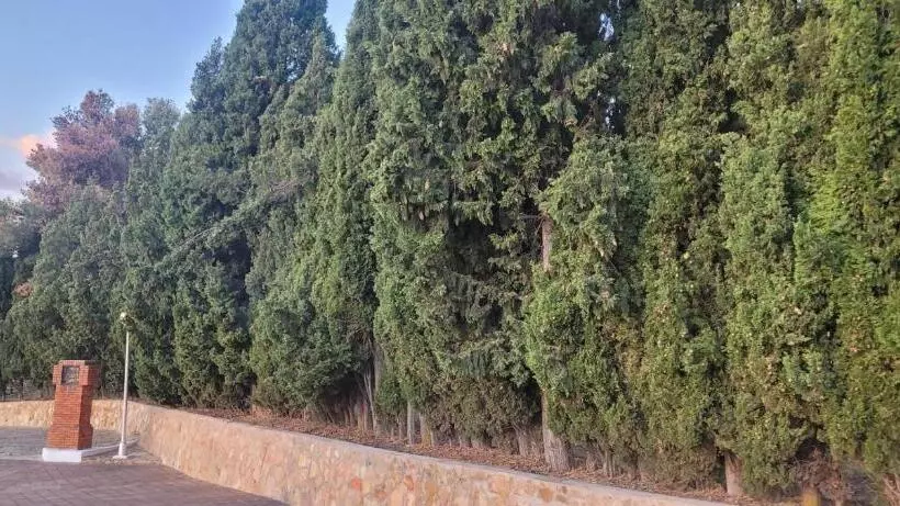 ホテル El Mirador De San Macario