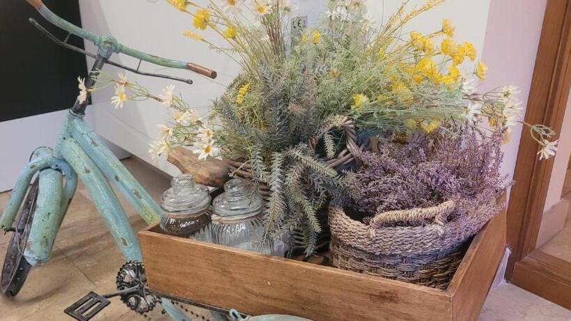 酒店 El Mirador De San Macario