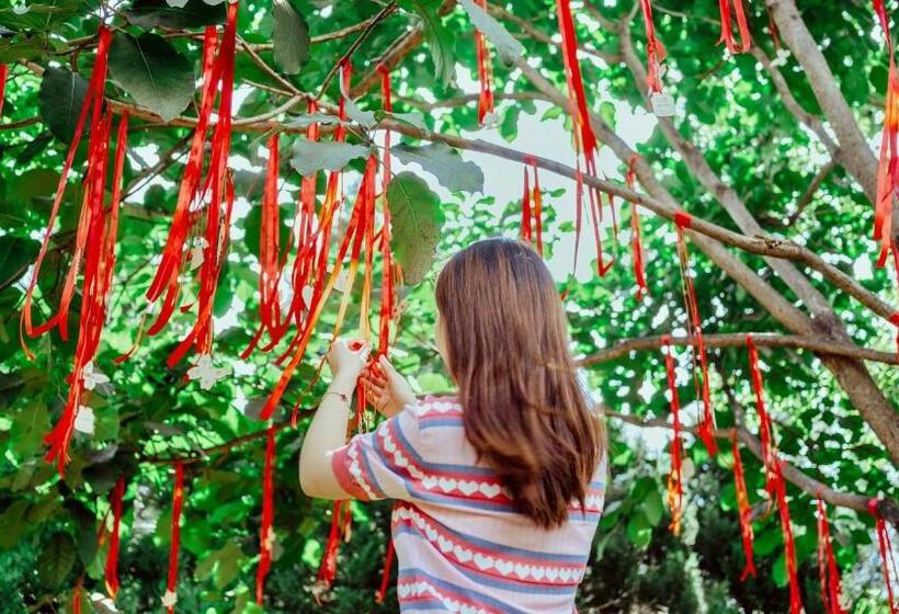 בית מלון כפרי Maree