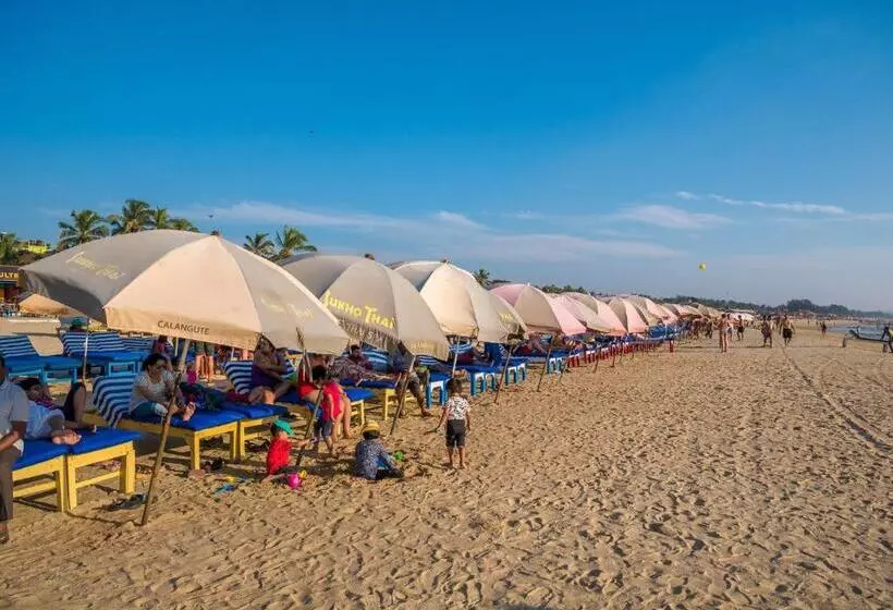 هتل Explorer Calangute