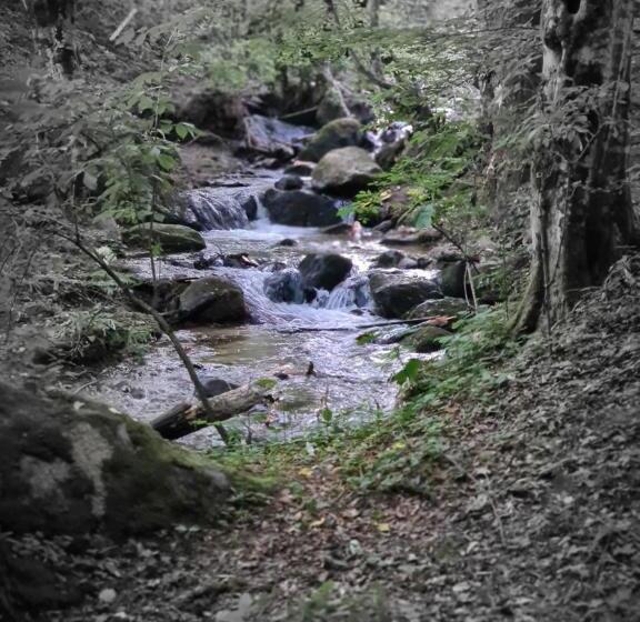 پانسیون Beconia Riverside