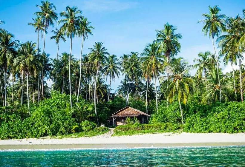 ペンション Pinang Island   Private Island Sea View Bungalows