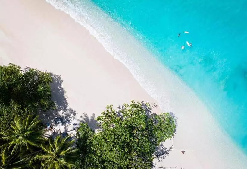 ペンション Pinang Island   Private Island Sea View Bungalows