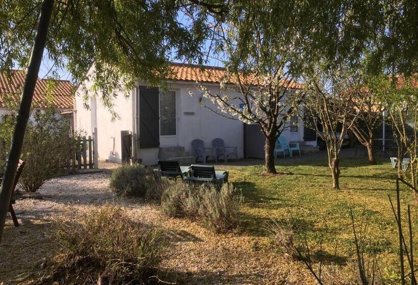 膳宿费 Studio Charleston