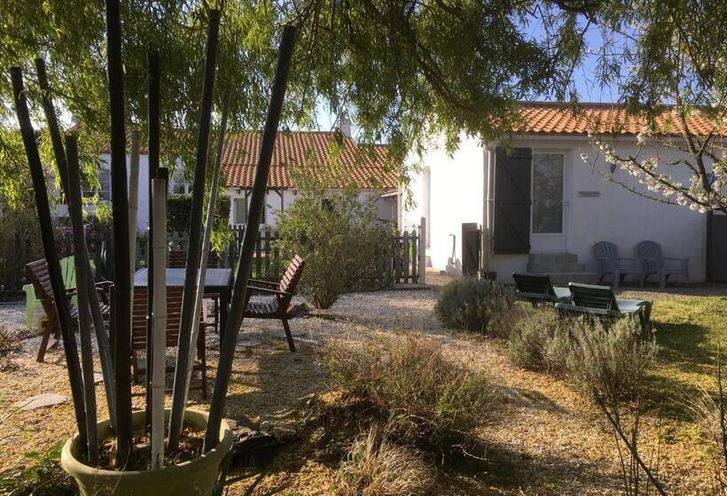 膳宿费 Studio Charleston