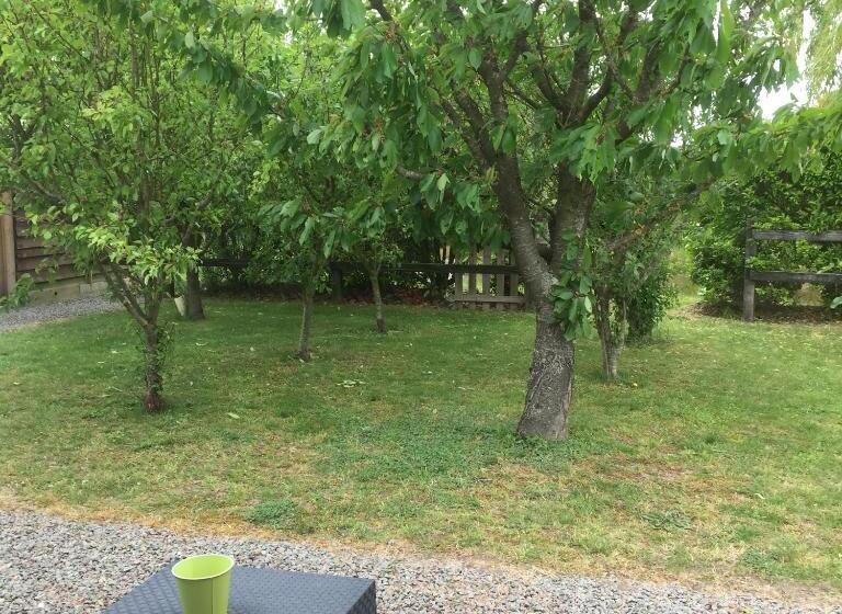 膳宿费 Studio Charleston