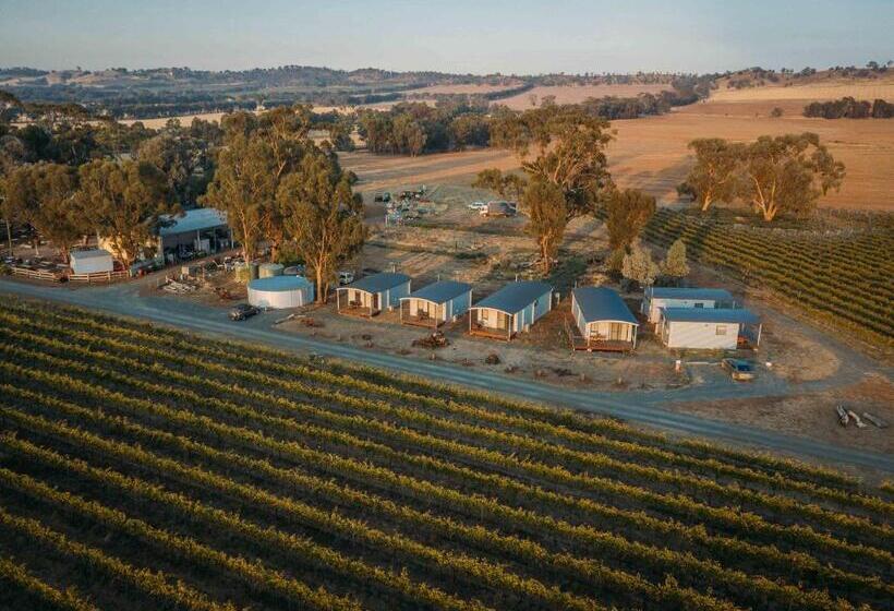 Vineyard Views At Shiraz Republic