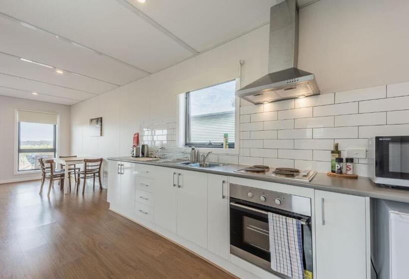 Vineyard Views At Shiraz Republic