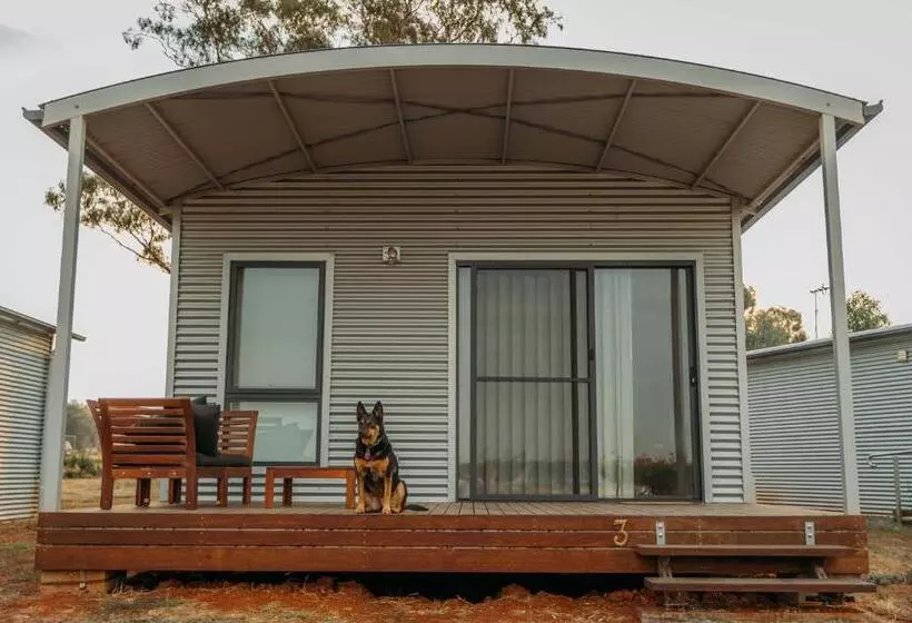 Vineyard Views At Shiraz Republic