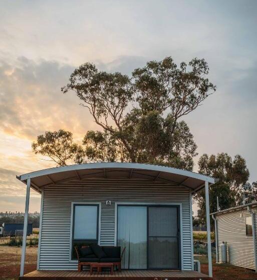 Vineyard Views At Shiraz Republic