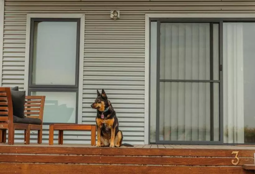 Vineyard Views At Shiraz Republic
