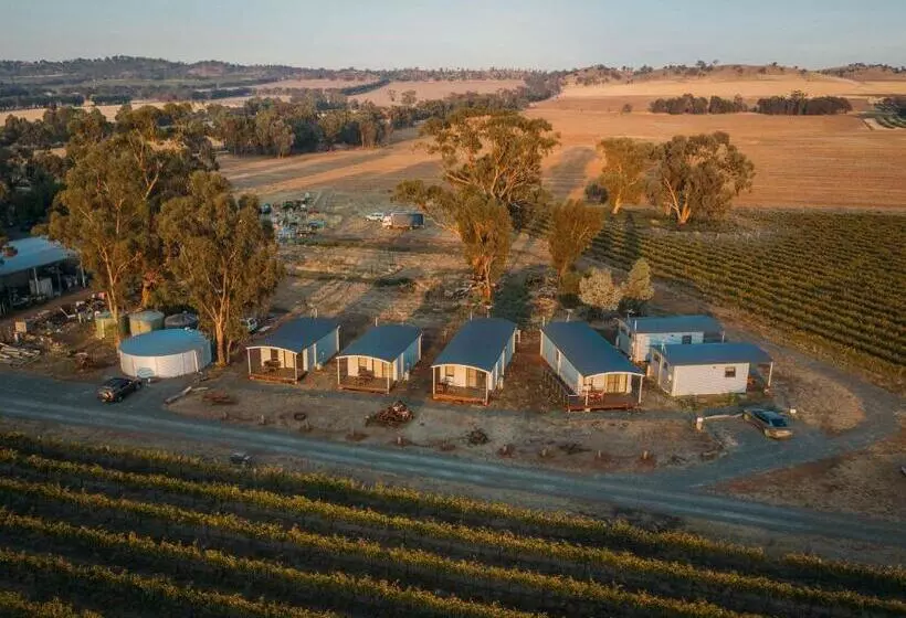Vineyard Views At Shiraz Republic