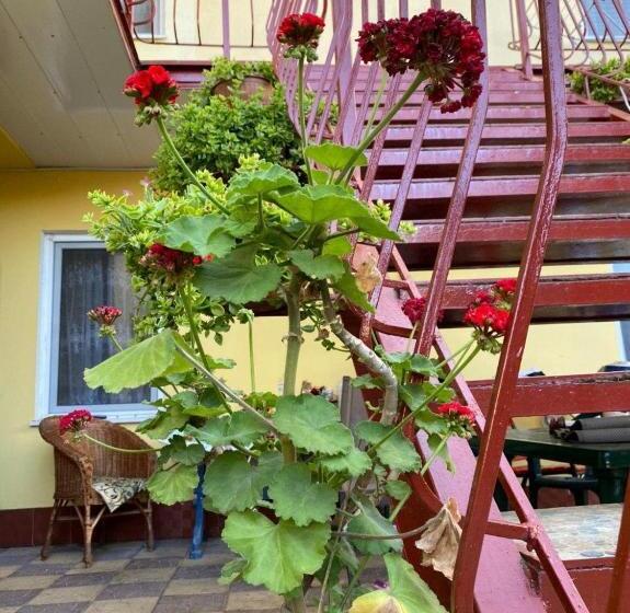 ホテル частные апартаменты мезенцевых