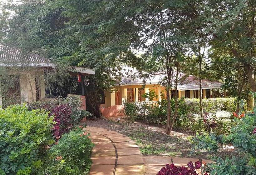 ホテル Eileen S Trees Inn