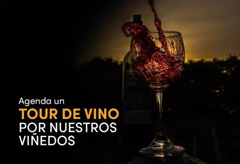 ホテル Encantadora Finca Con Viñedos En Rivera Rnt 92367