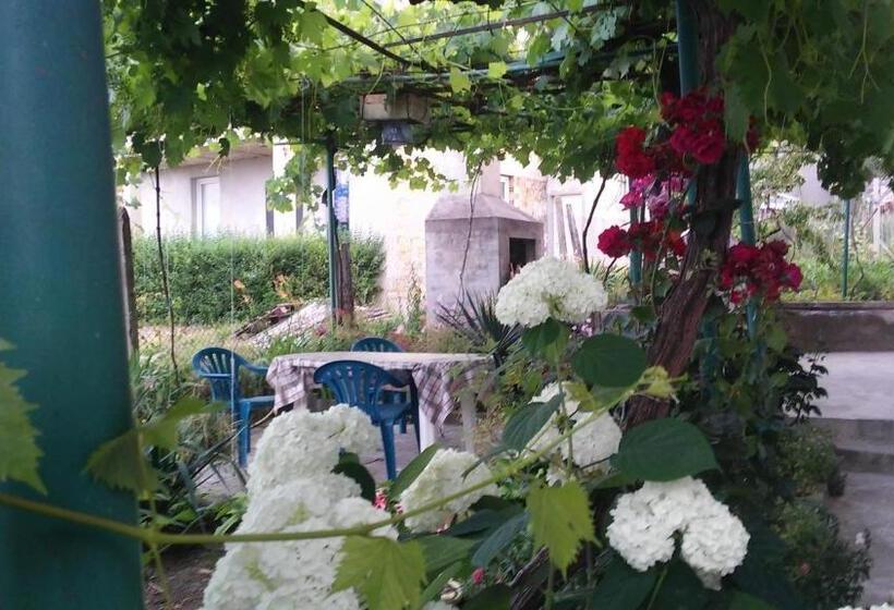 بنسيون къща за гости пердика