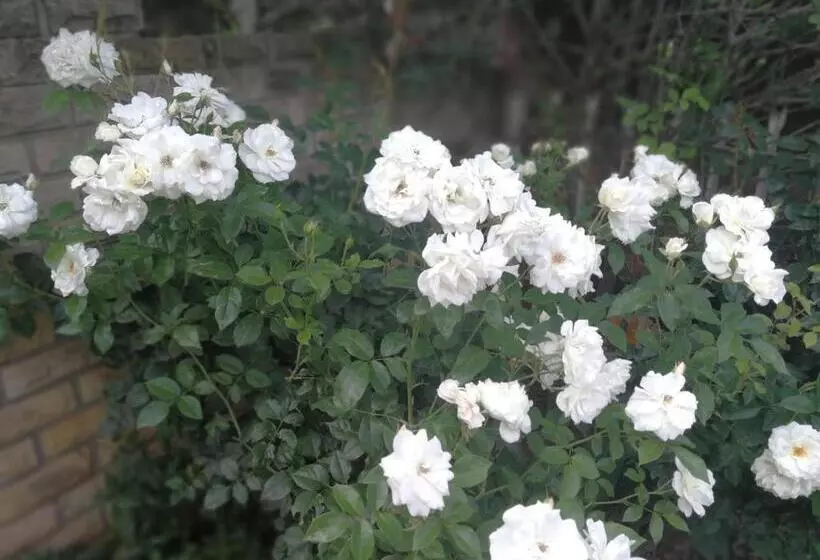 Majatalo Clarens Cottages