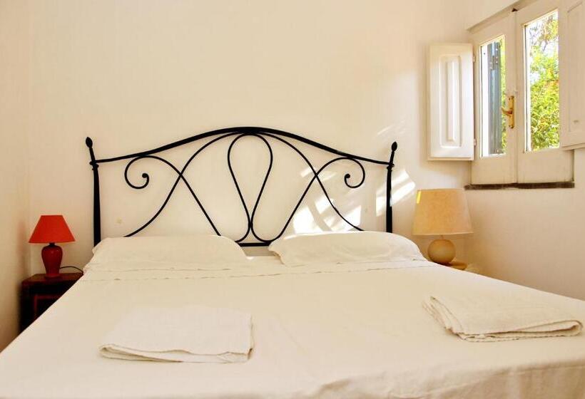 住宿加早餐 Guest House Il Comandante