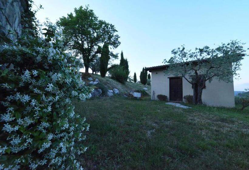 호텔 Agriturismo La Paladina