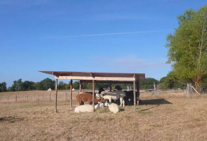 ホテル Alpagas Du Quercy