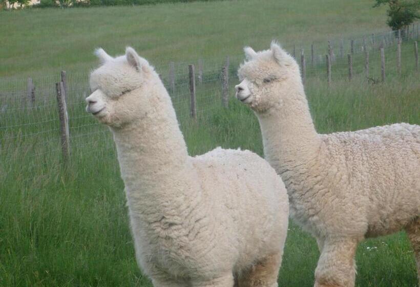 Отель Alpagas Du Quercy