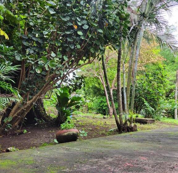 酒店 Museo El Ceibo