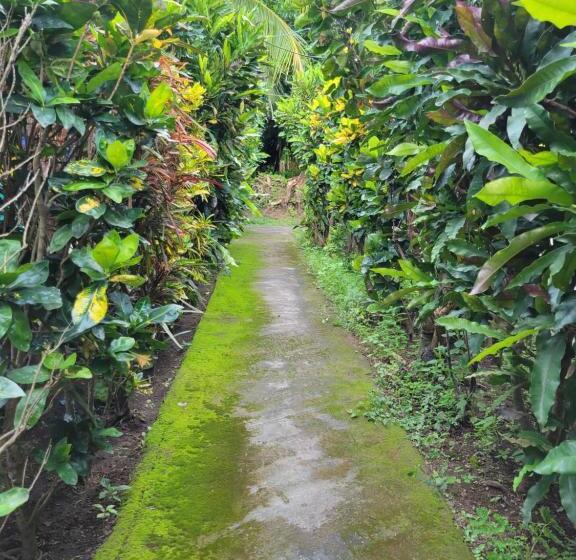 酒店 Museo El Ceibo